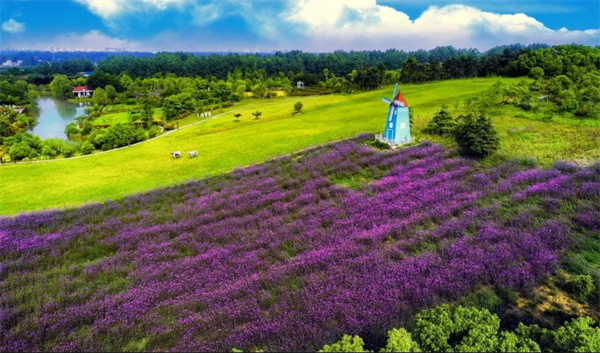 صչʾһcountry walk˵߾ߣ