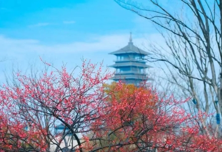 ˺羰