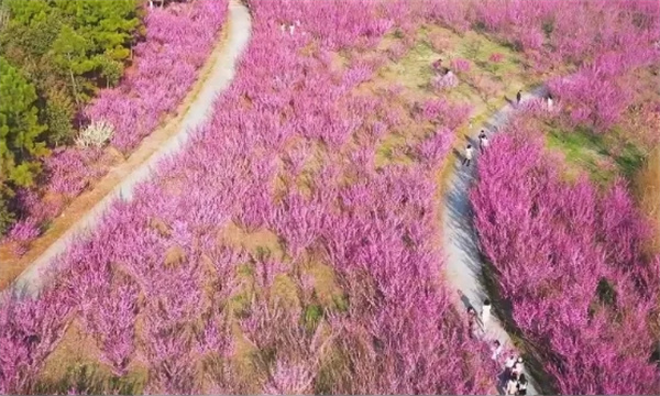 䡱· ʣʴͻ~
