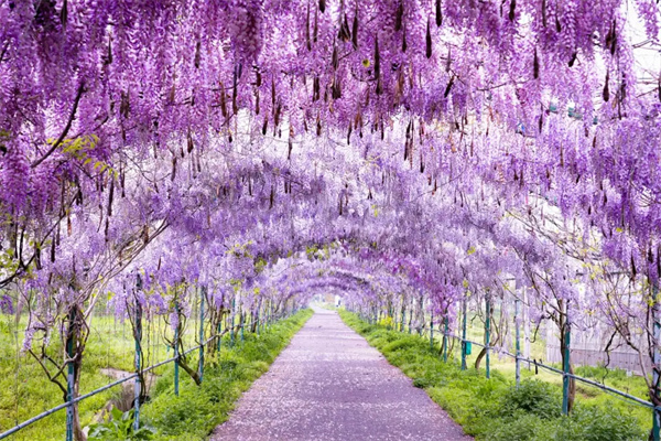 £ͻȥЩطаһ죡